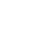 Flamingo.png